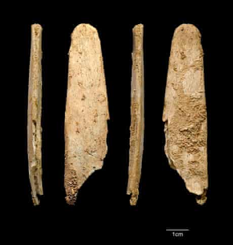 Neanderthal lissoir