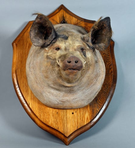 Bust of the pig Tirpitz