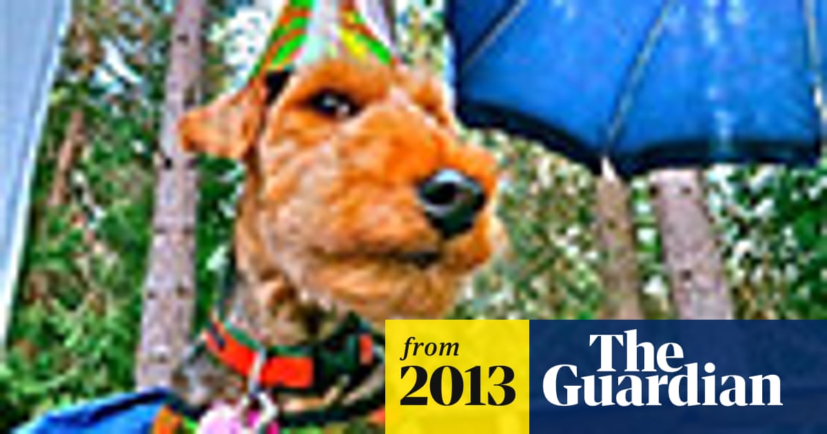 Airedale Terrier Umbrella Airedale Terrier Umbrella