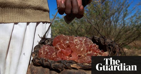 Arabic sex Arabic sex