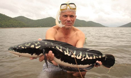 Extreme fishing: from Vladimir Putin to Robson Green, sport at its most  macho, Fishing