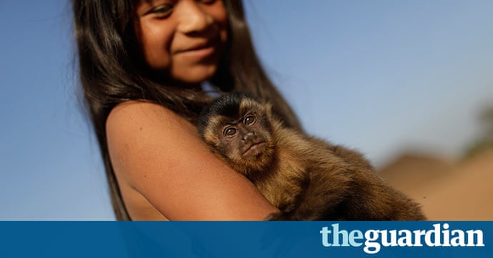 Brazilian Tribes Quarup Ritual In Pictures World News The Guardian 
