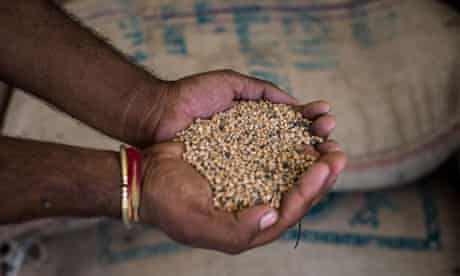 Seed Freedom Is The Answer To Hunger And Malnutrition Guardian seed freedom is the answer to hunger