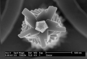 Nanotech : Coccolith