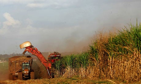 Biofuels made from sugar cane, Sao Paulo, Brazil