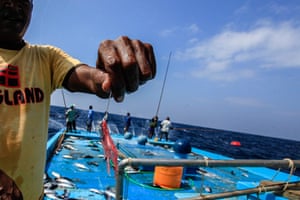 Sustainable tuna fishing in the Maldives - in pictures, Guardian  Sustainable Business