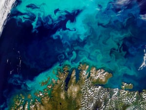 Climate change pushing marine life towards the poles, says study