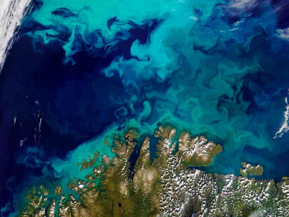 Phytoplankton bloom in the cool waters of the Barents Sea off the northern coast of Norway.