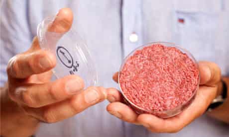 Lab-grown beef hamburger