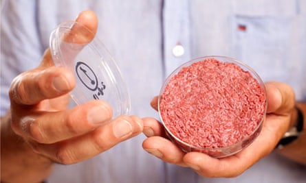 Lab-grown beef hamburger