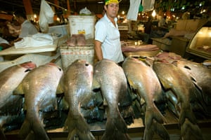 Tambaqui fish in the municipal market in Manaus, capital of Amazonas, Brazil