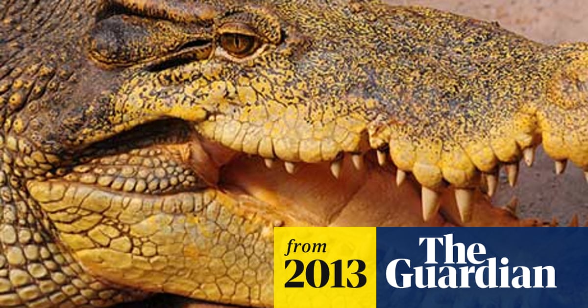 Are There Crocodiles in New Zealand