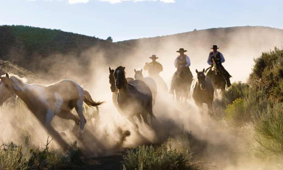 Cowboyrs riding in Oregon, USA