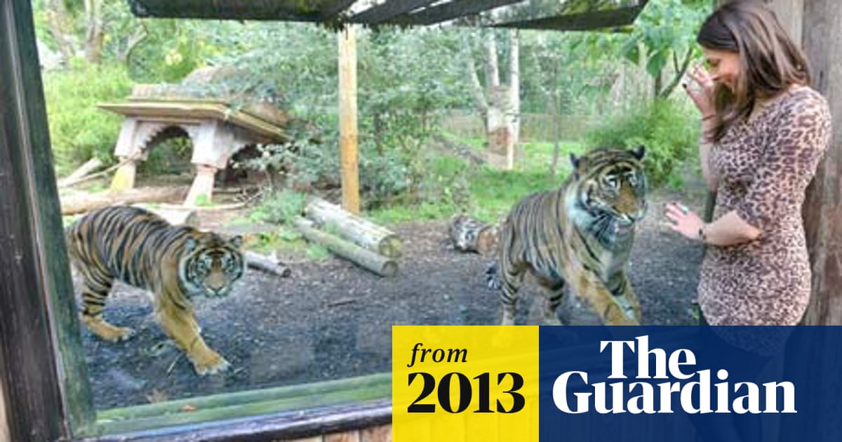 Safari Park Imposes Dress Code To Stop Visitors Scaring The Animals Animals The Guardian Safari Park Imposes Dress Code To Stop Visitors Scaring The Animals Animals The Guardian