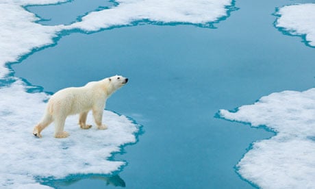 IPCC Arctic Sea Ice