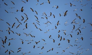 The G20 Summit in Saint Petersburg continues as rain hits the UK the