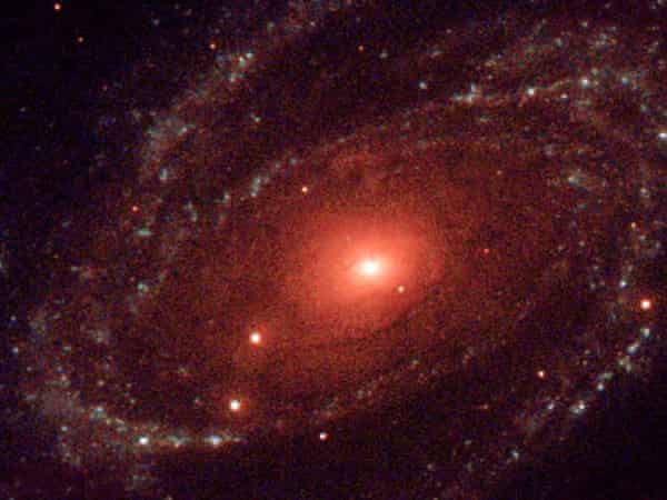 Body Mass Index The Dieters Bogeyman Discovered By A