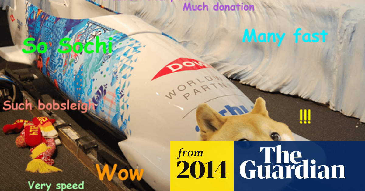 What Is Doge Internet The Guardian What Is Doge Internet The Guardian