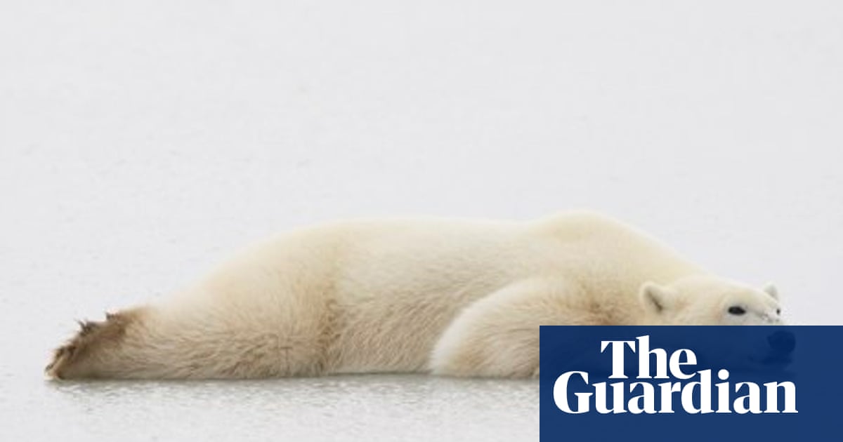 Returning To Work After Mental Health Issues Tips For The Transition Guardian Careers The Guardian Returning To Work After Mental Health Issues Tips For The Transition Guardian Careers The Guardian