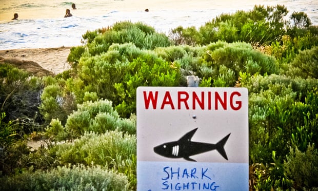 Shark sighting sign near Prevelly Beach in WA