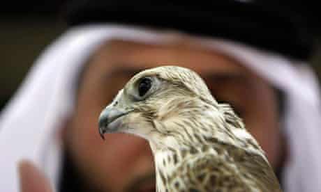 An Emirati man holds a falcon in Abu Dhabi