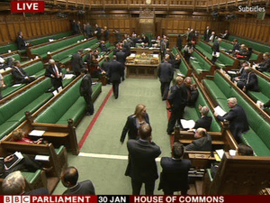 MPs voting on the immigration bill