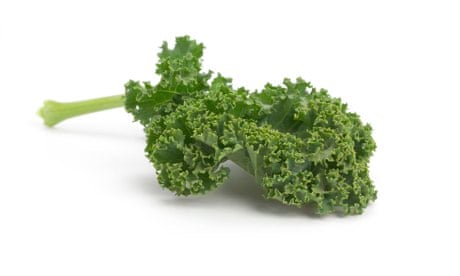 Green curly kale