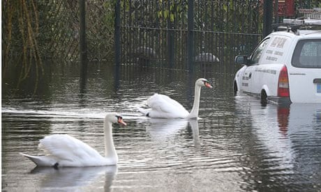 Chertsey, Surry, floods and swans