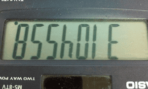 Words you can write on a calculator Education The Guardian