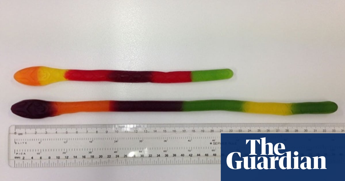 Killer python downsize: how the new and old lollies measure up ...