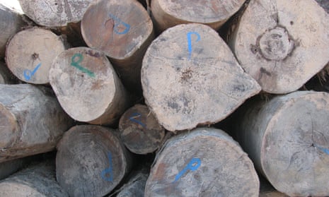 illegal timber peru