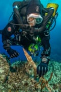 A diver holds a bronze spear at the site of the Antikythera wreck.