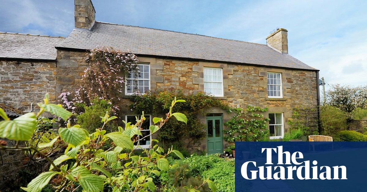 These houses with orchards could be the apple of your eye | Money | The
