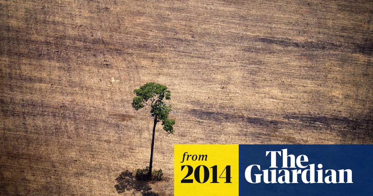 Amazon Deforestation Picking Up Pace Satellite Data Reveals Amazon Rainforest The Guardian Amazon Deforestation Picking Up Pace Satellite Data Reveals Amazon Rainforest The Guardian