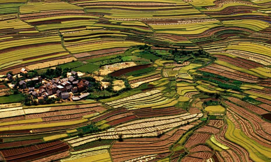 Sustainable agriculture (aerial), Betsileo terrace fields, Central Madagascar