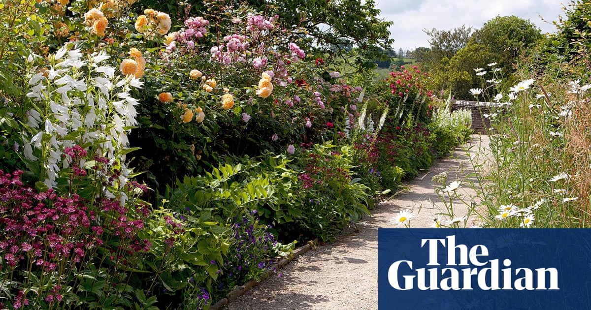 Gardens Coming Up Roses Gardens The Guardian