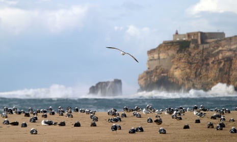 Seagulls stay ashore as strong winds batter the fishing village of Nazaré, Portugal.
