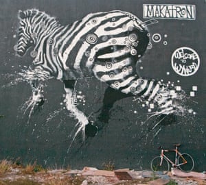 Zebra, Miami, US.