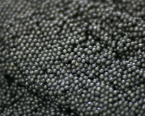 caviar