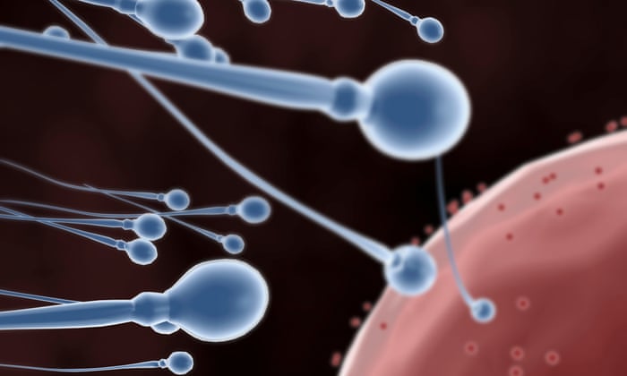 How to get clomid on nhs
