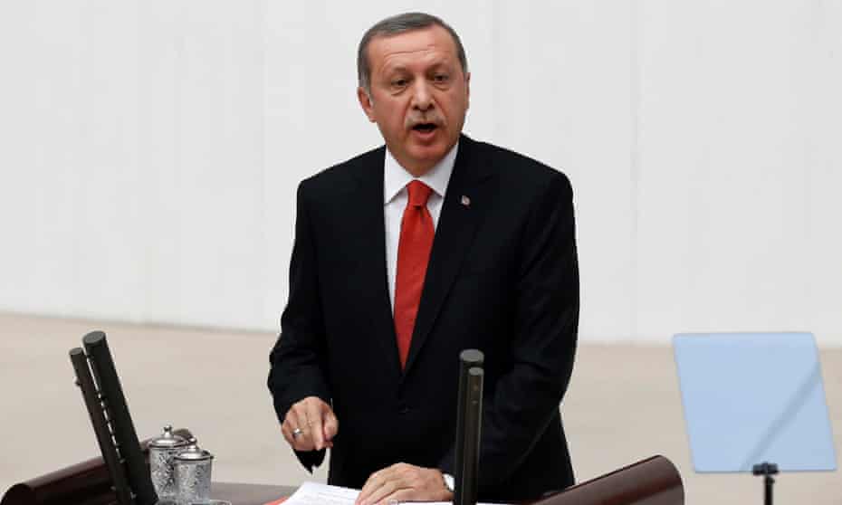 Turkey's President Tayyip Erdogan - not a cat -  addresses the Turkish Parliament.