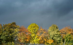 Sunlight on autumn trees against a dark raincloud sky, UK, 17th October 2014
