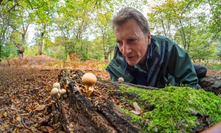 Fungus in Epping Forest : Dr Jeremy Dagley, head of conservation with some Puff Balls.