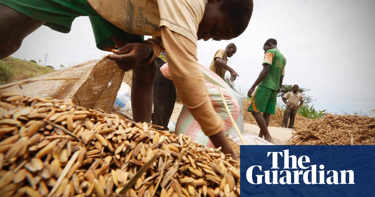 No more rotten crops: six smart inventions to prevent harvest loss - The Guardian