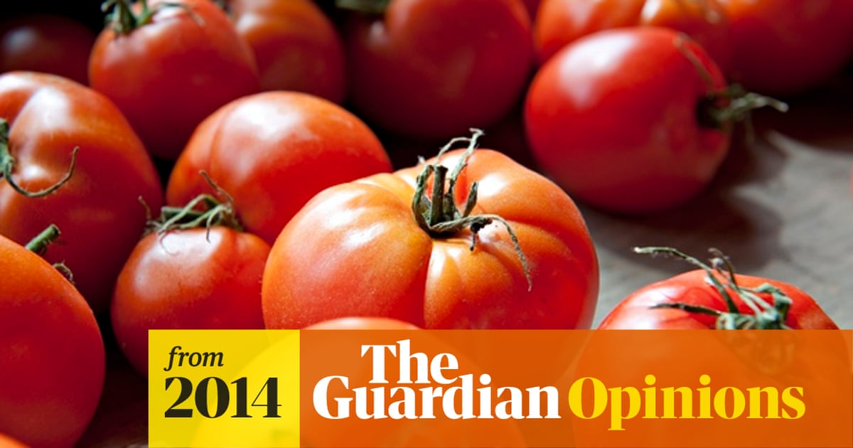 Supermarkets' struggle for economic survival must not come at expense of human rights