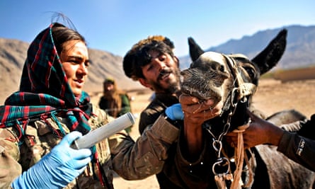 A veterinarian prepares medicine for sick animals during a veterinarian assistance project in Gizab district.