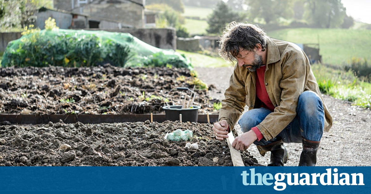 Gardens: the November checklist | Dan Pearson | Life and style | The Guardian Gardens: the November checklist | Dan Pearson | Life and style | The Guardian on Dan Pearson Garden
 id=18419