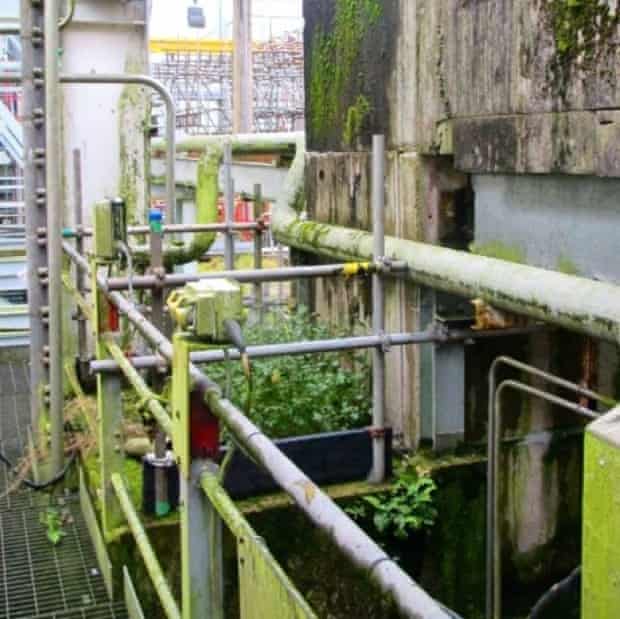 This photograph sent to The Ecologist shows weeds growing around derelict machinery within the Sellafield facility.
