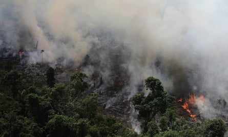 Amazon Rainforest Losing Ability To Regulate Climate Scientist Warns Deforestation The Guardian