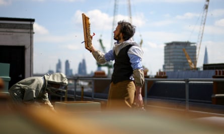 Steve Bendow from The London Honey Company tends to the beehives on the rooftop of Fortnum and Mason in London.